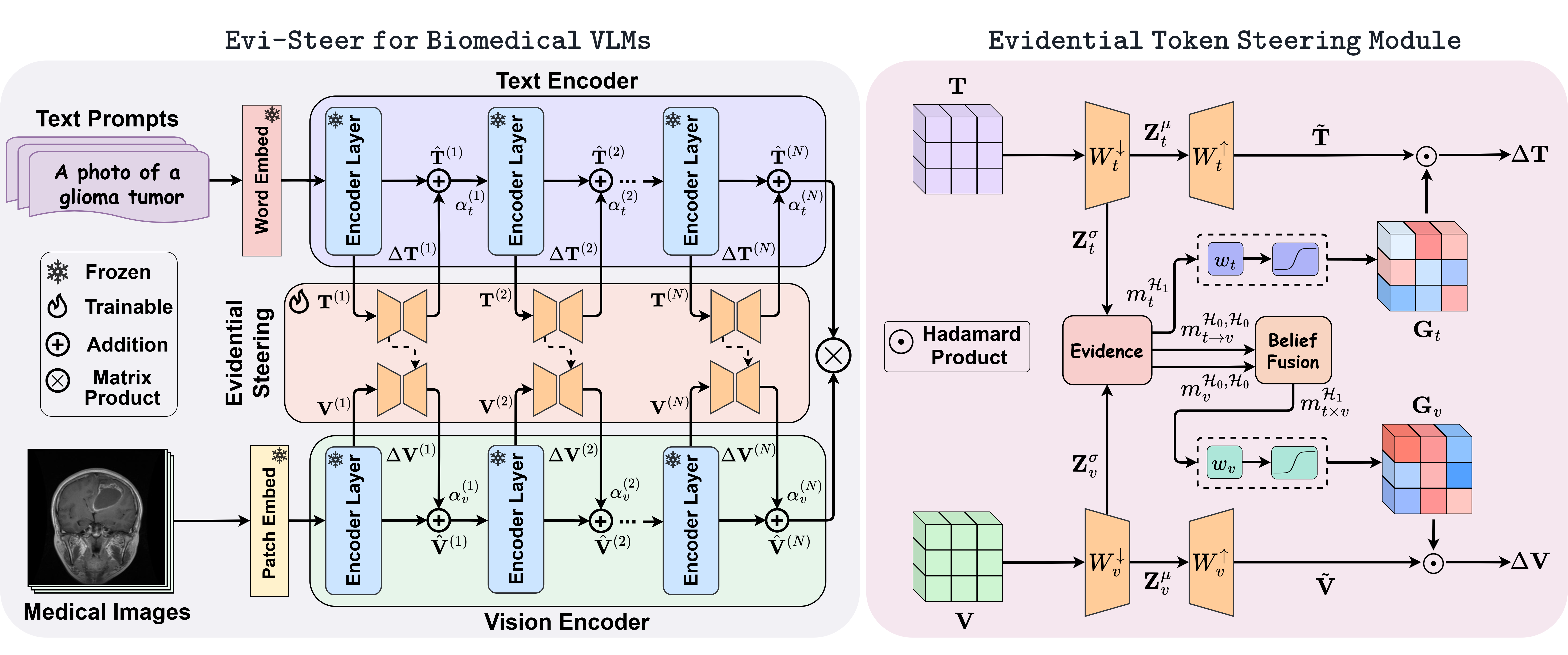 Overall architecture of Evi-Steer