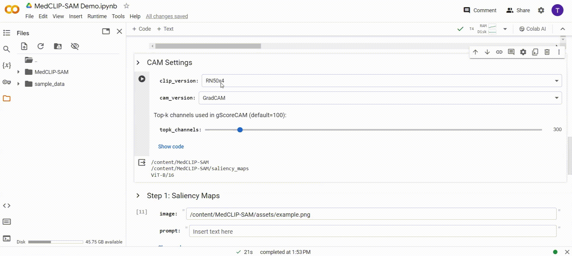 MedCLIP-SAM text-driven segmentation demo