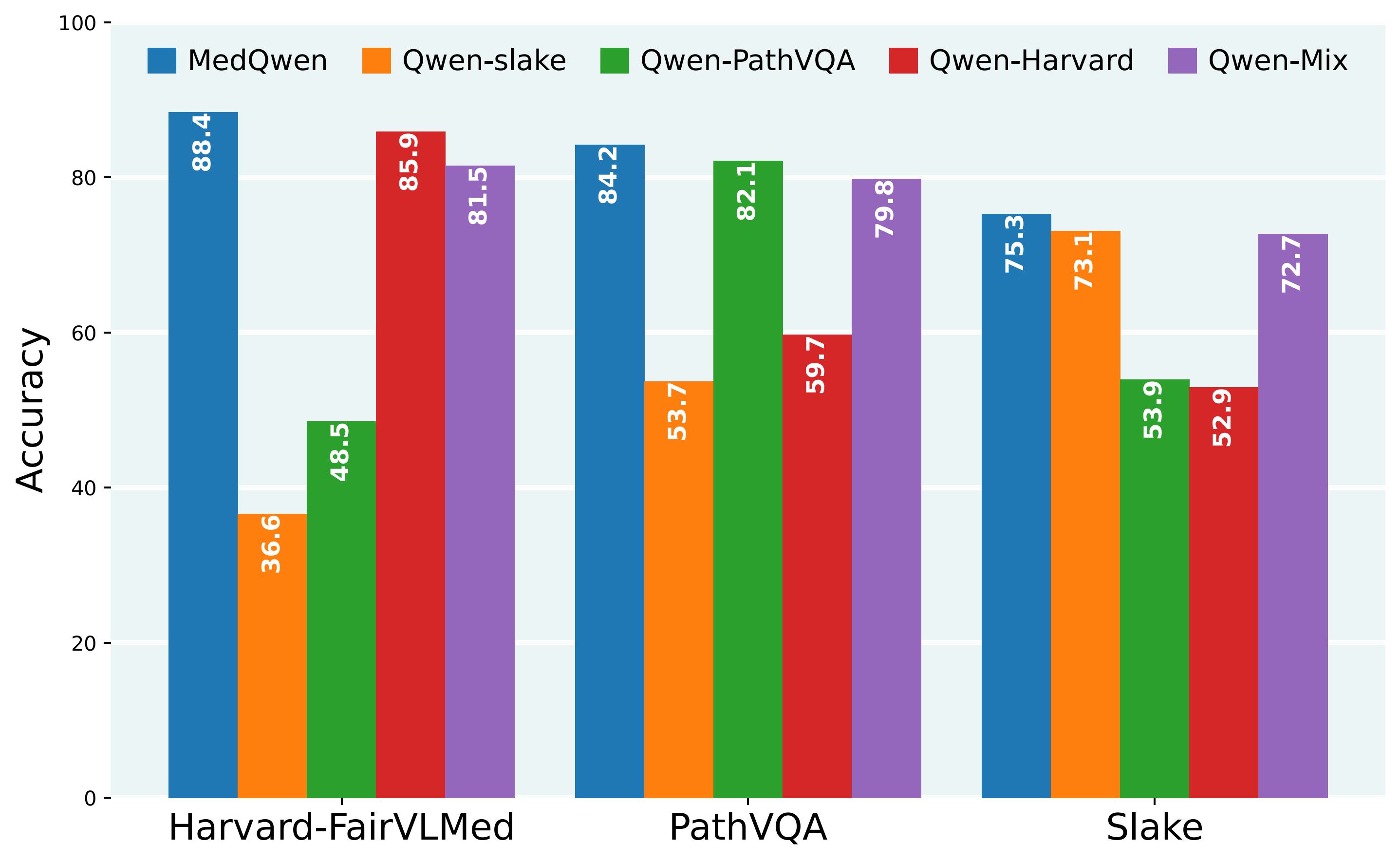 medqwen_overview.jpg